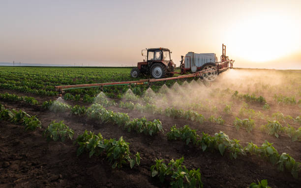 Best Mosquito Control Services  in Calico Rock, AR